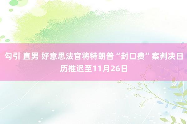 勾引 直男 好意思法官将特朗普“封口费”案判决日历推迟至11月26日