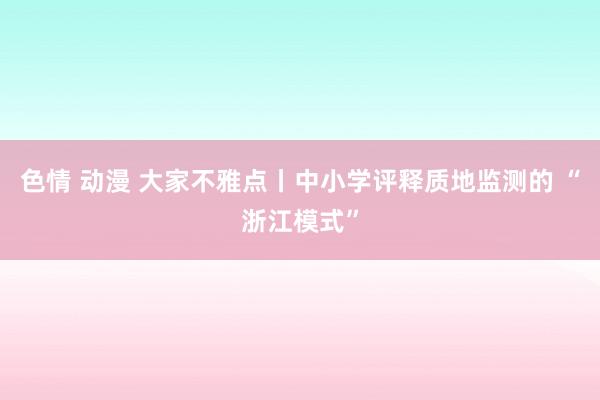 色情 动漫 大家不雅点丨中小学评释质地监测的 “浙江模式”