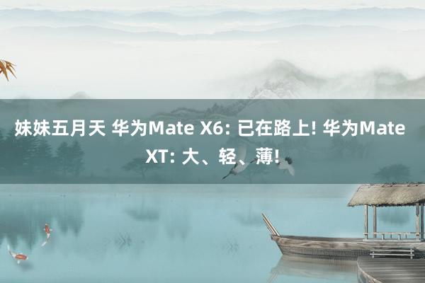 妹妹五月天 华为Mate X6: 已在路上! 华为Mate XT: 大、轻、薄!