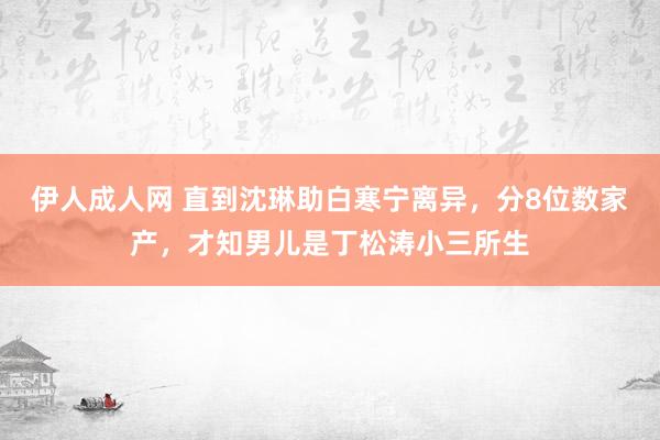 伊人成人网 直到沈琳助白寒宁离异，分8位数家产，才知男儿是丁松涛小三所生