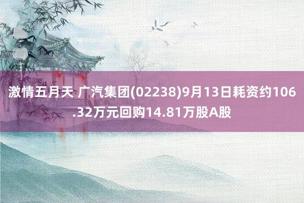 激情五月天 广汽集团(02238)9月13日耗资约106.32万元回购14.81万股A股