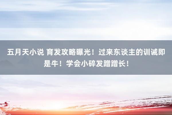 五月天小说 育发攻略曝光！过来东谈主的训诫即是牛！学会小碎发蹭蹭长！