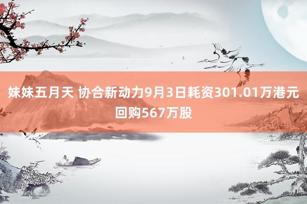 妹妹五月天 协合新动力9月3日耗资301.01万港元回购567万股