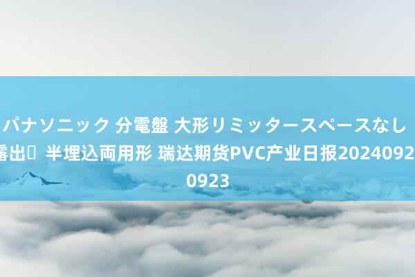 パナソニック 分電盤 大形リミッタースペースなし 露出・半埋込両用形 瑞达期货PVC产业日报20240923