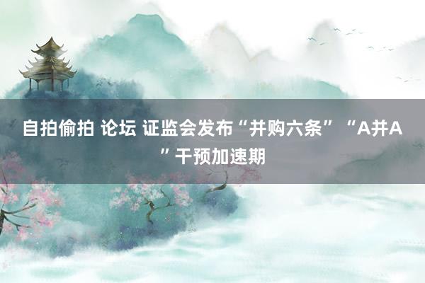 自拍偷拍 论坛 证监会发布“并购六条” “A并A”干预加速期