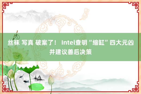 丝袜 写真 破案了！ Intel查明“缩缸”四大元凶并建议善后决策