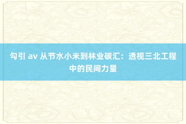 勾引 av 从节水小米到林业碳汇：透视三北工程中的民间力量