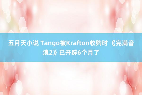 五月天小说 Tango被Krafton收购时 《完满音浪2》已开辟6个月了