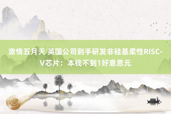 激情五月天 英国公司到手研发非硅基柔性RISC-V芯片：本钱不到1好意思元