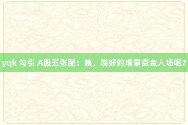 yqk 勾引 A股五张图：咦，说好的增量资金入场呢？