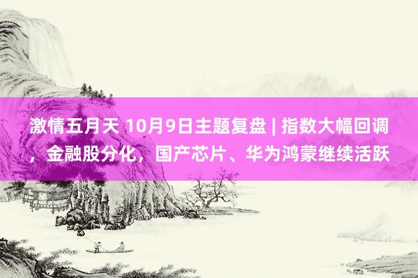 激情五月天 10月9日主题复盘 | 指数大幅回调，金融股分化，国产芯片、华为鸿蒙继续活跃