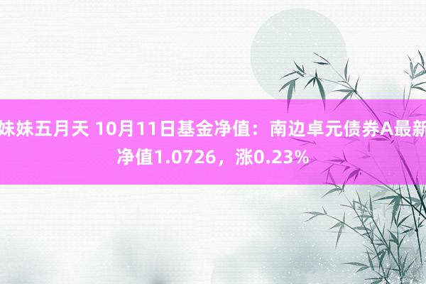 妹妹五月天 10月11日基金净值：南边卓元债券A最新净值1.0726，涨0.23%