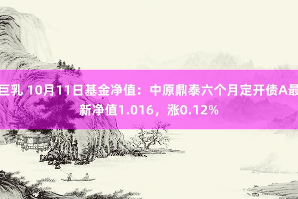 巨乳 10月11日基金净值：中原鼎泰六个月定开债A最新净值1.016，涨0.12%