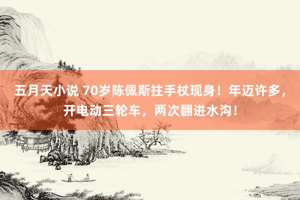 五月天小说 70岁陈佩斯拄手杖现身！年迈许多，开电动三轮车，两次翻进水沟！