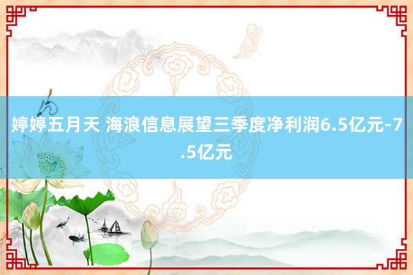 婷婷五月天 海浪信息展望三季度净利润6.5亿元-7.5亿元