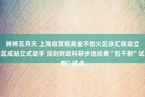 婷婷五月天 上海自贸锻真金不怕火区徐汇联动立异区成站立式动手 深刻财政科研步地经费“包干制”试点