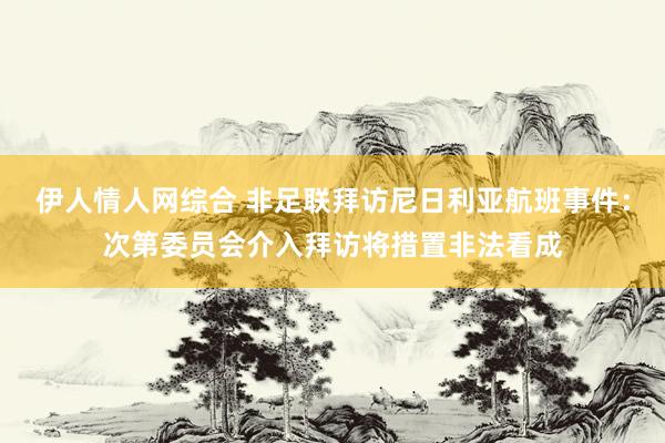 伊人情人网综合 非足联拜访尼日利亚航班事件：次第委员会介入拜访将措置非法看成