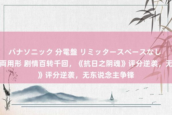 パナソニック 分電盤 リミッタースペースなし 露出・半埋込両用形 剧情百转千回，《抗日之阴魂》评分逆袭，无东说念主争锋