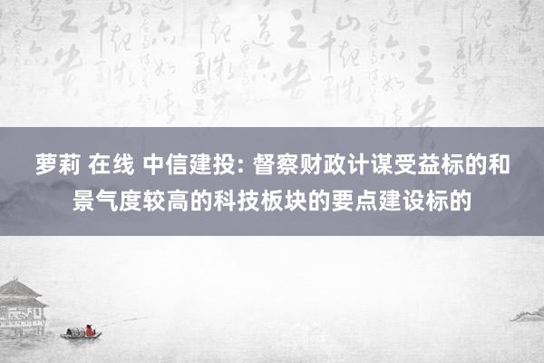 萝莉 在线 中信建投: 督察财政计谋受益标的和景气度较高的科技板块的要点建设标的