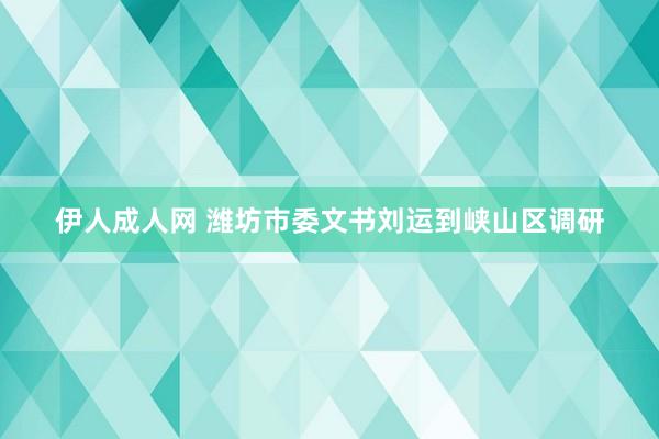 伊人成人网 潍坊市委文书刘运到峡山区调研