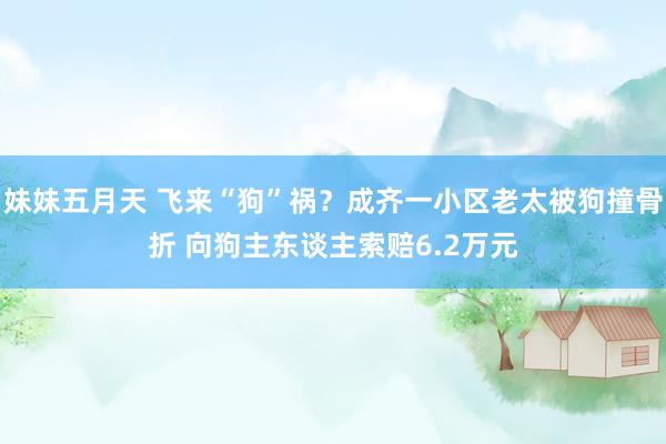 妹妹五月天 飞来“狗”祸？成齐一小区老太被狗撞骨折 向狗主东谈主索赔6.2万元