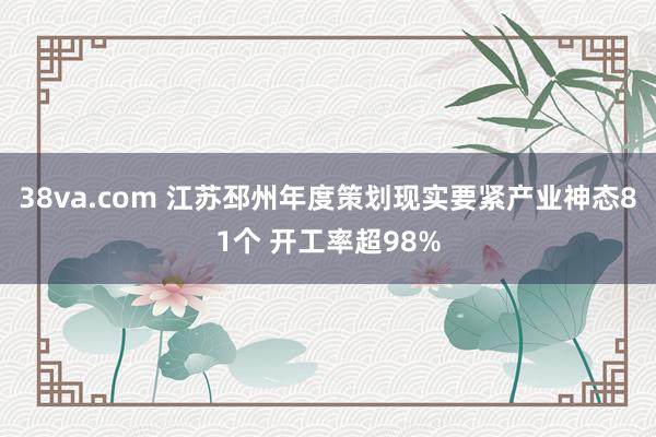 38va.com 江苏邳州年度策划现实要紧产业神态81个 开工率超98%