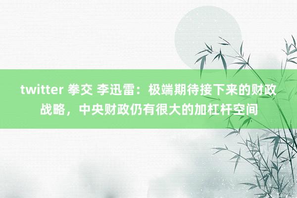 twitter 拳交 李迅雷：极端期待接下来的财政战略，中央财政仍有很大的加杠杆空间