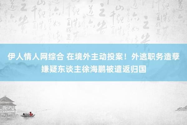 伊人情人网综合 在境外主动投案！外逃职务造孽嫌疑东谈主徐海鹏被遣返归国