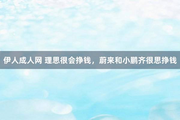 伊人成人网 理思很会挣钱，蔚来和小鹏齐很思挣钱