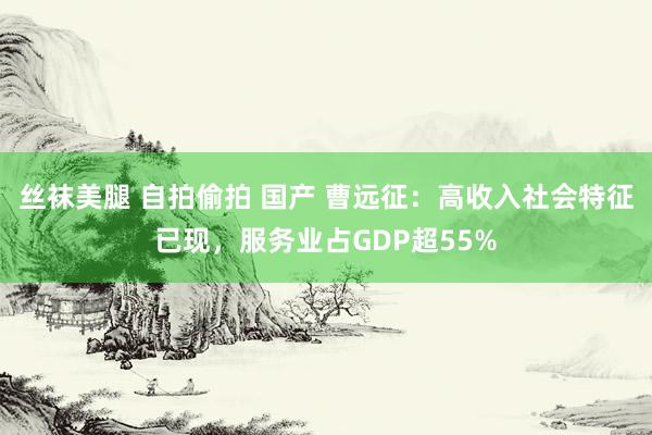 丝袜美腿 自拍偷拍 国产 曹远征：高收入社会特征已现，服务业占GDP超55%