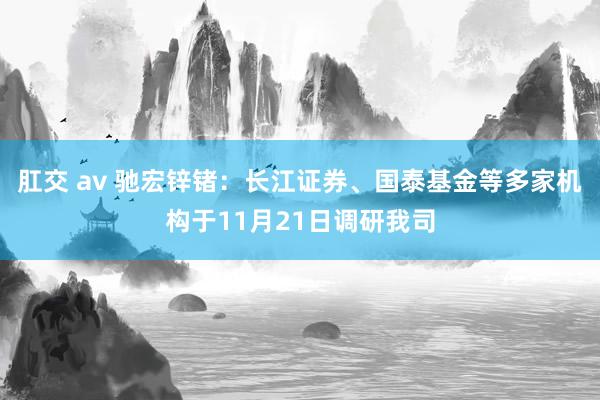 肛交 av 驰宏锌锗：长江证券、国泰基金等多家机构于11月21日调研我司