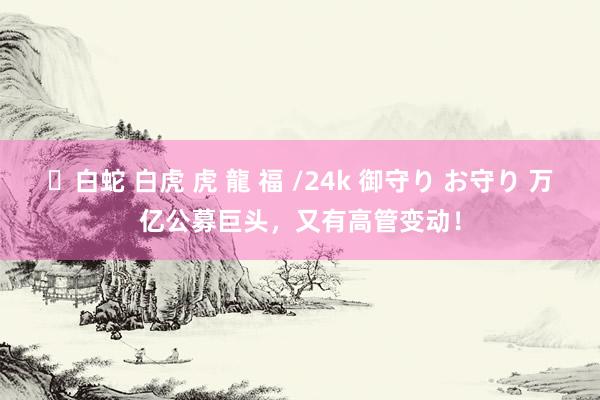 ✨白蛇 白虎 虎 龍 福 /24k 御守り お守り 万亿公募巨头，又有高管变动！