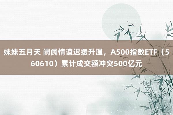 妹妹五月天 阛阓情谊迟缓升温，A500指数ETF（560610）累计成交额冲突500亿元