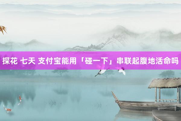 探花 七天 支付宝能用「碰一下」串联起腹地活命吗