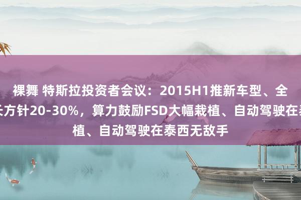 裸舞 特斯拉投资者会议：2015H1推新车型、全年销量增长方针20-30%，算力鼓励FSD大幅栽植、自动驾驶在泰西无敌手