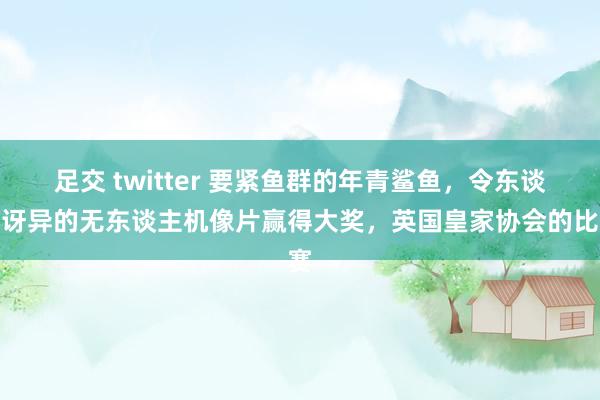 足交 twitter 要紧鱼群的年青鲨鱼，令东谈主讶异的无东谈主机像片赢得大奖，英国皇家协会的比赛