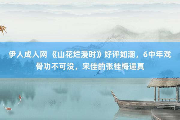 伊人成人网 《山花烂漫时》好评如潮，6中年戏骨功不可没，宋佳的张桂梅逼真