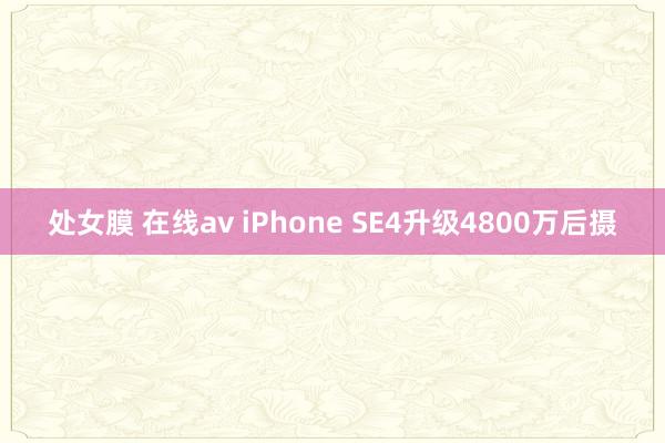 处女膜 在线av iPhone SE4升级4800万后摄