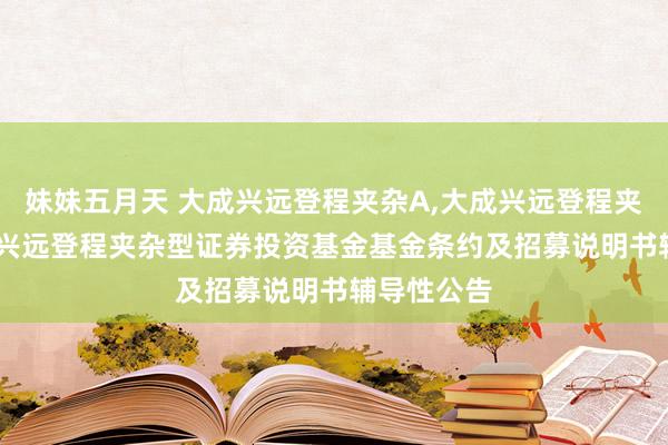 妹妹五月天 大成兴远登程夹杂A，大成兴远登程夹杂C: 大成兴远登程夹杂型证券投资基金基金条约及招募说明书辅导性公告