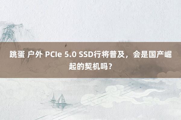 跳蛋 户外 PCIe 5.0 SSD行将普及，会是国产崛起的契机吗？