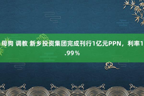 母狗 调教 新乡投资集团完成刊行1亿元PPN，利率1.99％