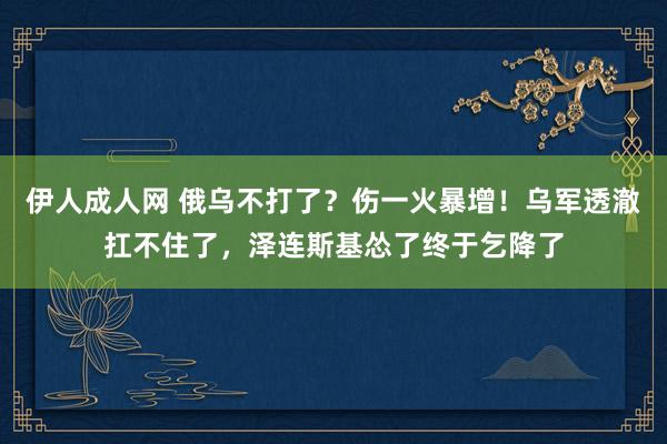 伊人成人网 俄乌不打了？伤一火暴增！乌军透澈扛不住了，泽连斯基怂了终于乞降了