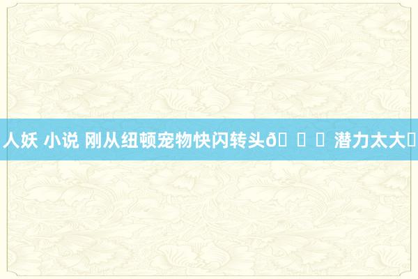 人妖 小说 刚从纽顿宠物快闪转头🔙潜力太大❗