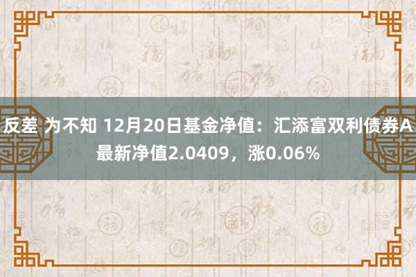 反差 为不知 12月20日基金净值：汇添富双利债券A最新净值2.0409，涨0.06%