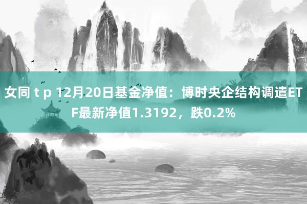 女同 t p 12月20日基金净值：博时央企结构调遣ETF最新净值1.3192，跌0.2%