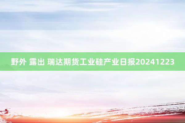 野外 露出 瑞达期货工业硅产业日报20241223