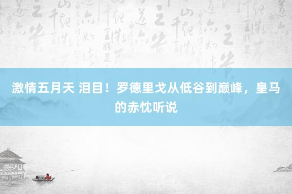 激情五月天 泪目！罗德里戈从低谷到巅峰，皇马的赤忱听说