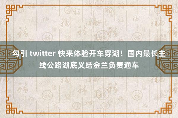 勾引 twitter 快来体验开车穿湖！国内最长主线公路湖底义结金兰负责通车