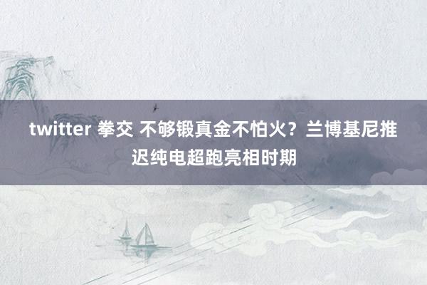 twitter 拳交 不够锻真金不怕火？兰博基尼推迟纯电超跑亮相时期