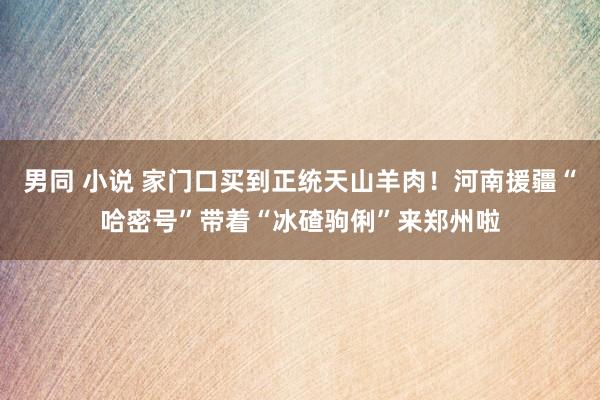 男同 小说 家门口买到正统天山羊肉！河南援疆“哈密号”带着“冰碴驹俐”来郑州啦